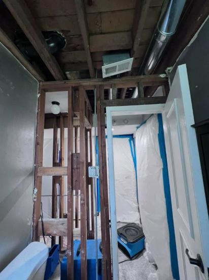 Mold Remediation